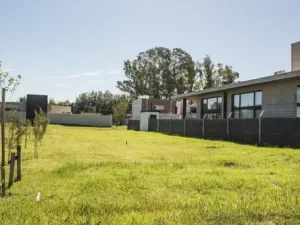 Lote 34